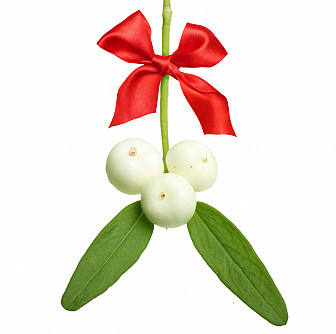 Mistletoe as typically hung. It's often combined with holly and pine cones to fill it out. Photo: Valentina Razumova, Dreamstime