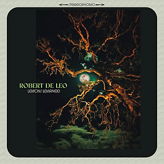 <i>Lessons Learned</i> has a memorable album cover, with a photo snapped by De Leo. "That's a photo I took on my iPhone 7. It was an evening up in Santa Barbara – with a beautiful full moon. And I just snapped that photo outside of a really old oak tree against that moon. It was pretty striking to me. Trees always represent wisdom and age to me. And something that I'm acquiring, and trying to learn still – age and wisdom."