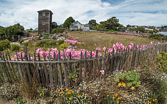 Mendocino, California