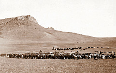 Texas