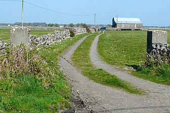 Fields in Athenry<br>Photo: <a href="https://www.geograph.ie/photo/1259525" target="_blank">Graham Horn</a>, Geograph Project, CC 2.0