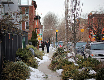 A neighborhood in Prospect Heights<br>Photo: <a href="https://www.flickr.com/photos/md888/5432523320/" target="_blank">Michael Dougherty</a>, via Flickr, CC 2.0