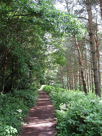 Footpath from Pevensey to Rye via Battle, 2009<br>Photo: <a href="https://www.geograph.org.uk/photo/1355485" target="_blank">Simon Carey</a>, Geograph Project, CC 2.0