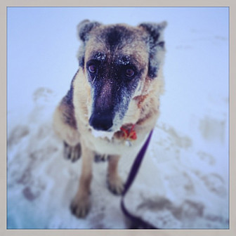 "It's reallyreallyreally cold..."<br>Photo: Bruce Pedersen