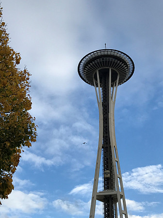 The Space Needle, 2017<br>Thanks, Shawna Ortega